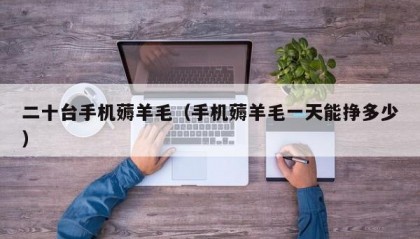 二十台手机薅羊毛（手机薅羊毛一天能挣多少）
